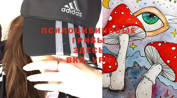 амф Белоозёрский
