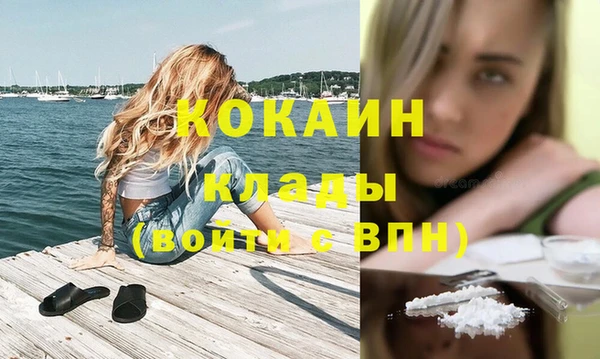 PSILOCYBIN Белокуриха