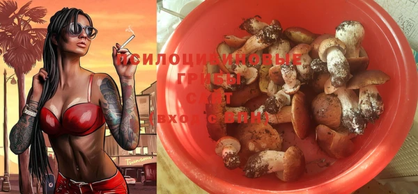 PSILOCYBIN Белокуриха