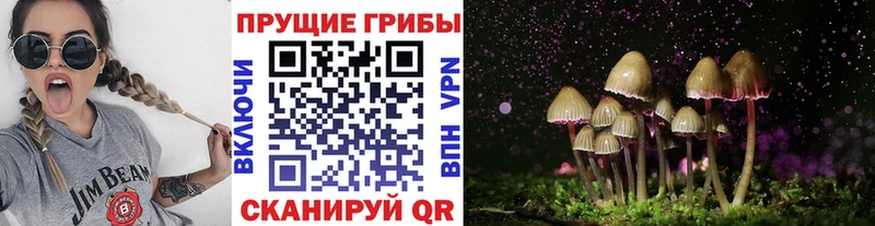 Галлюциногенные грибы Magic Shrooms  сайты даркнета официальный сайт  Воткинск 